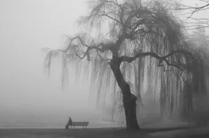 Depressed Man In Foggy Park Wallpaper