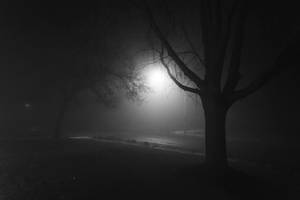 Depressing Foggy Night Wallpaper