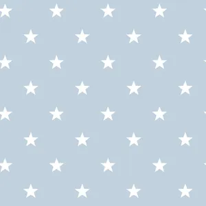 Description- A Beautiful Night Sky Lit Up With A Blanket Of Twinkling Blue Stars Wallpaper