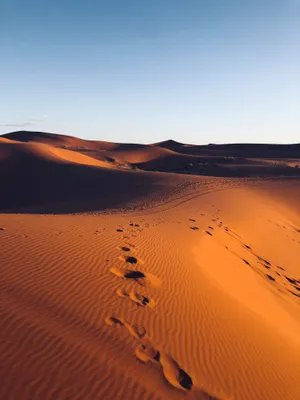 Desert Roads And Limitless Horizons Are Perfect For Getting Lost And Finding Yourself. Wallpaper