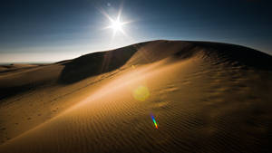 Desert Sun Uhd Wallpaper