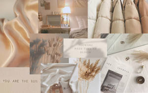 Desk Objects Beige Aesthetic Collage Wallpaper