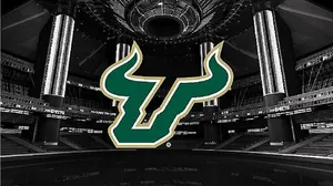 Determined Spirit Of South Florida - The Bulls Logo Wallpaper