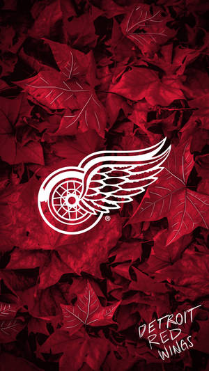 Detroit Red Wings Maple Leaves Wallpaper