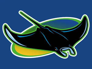 Devil Tampa Bay Rays Symbol Wallpaper