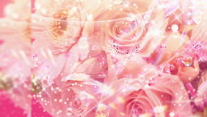 Dewy Girly Pink Roses Wallpaper
