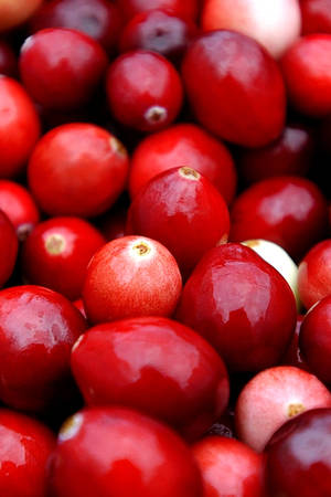 Different Colors Of Cranberry Wallpaper