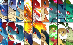 Dinosaur Pokemons With Cyndaquil Wallpaper