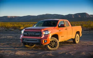 Dirty Orange Tundra Wallpaper