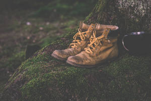 Dirty Shoes On Mossy Floor Wallpaper