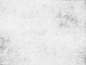 Dirty White Texture Concrete Wallpaper