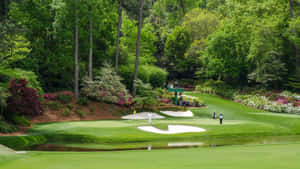 Discover The Natural Beauty Of Augusta National Golf Course Wallpaper