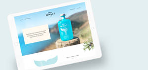 Discover The Superior Taste Of The Ocean With Succulent Gray Whale Gin Wallpaper