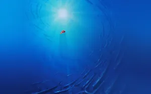 Disney Finding Nemo Laptop Wallpaper