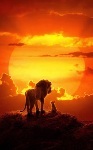 Disney Lion King Sunset Wallpaper