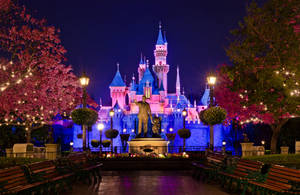 Disneyland Castle Cherry Blossom Wallpaper