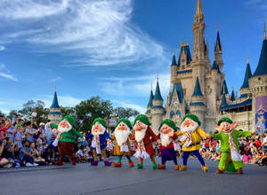 Disneyworld Seven Dwarfs Wallpaper