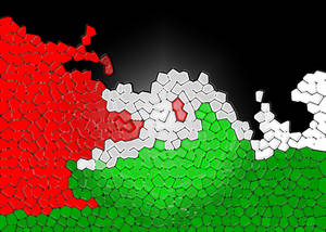 Distinctive Geometric Pattern Of The Palestinian Flag Wallpaper