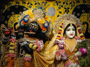 Divine Grace Of Lord Krishna - Banke Bihari Wallpaper