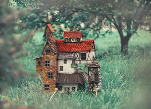 Dollhouse Outside The Forest Wallpaper