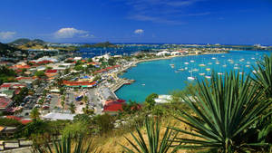 Dominica City Aerial View Wallpaper