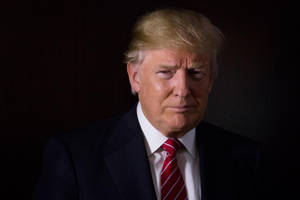 Donald Trump With Soft Shadow Wallpaper