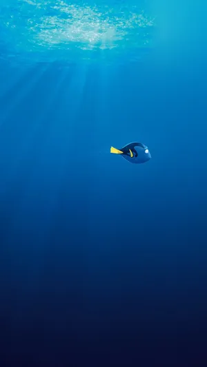 Dory In Finding Nemo Disney Iphone Wallpaper