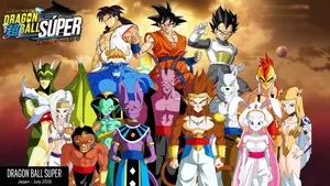 Dragon Ball Super Characters Wallpaper