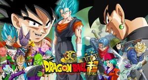 Dragon Ball Super Characters Wallpaper