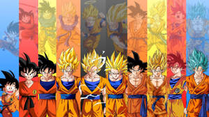 Dragon Ball Super Goku Evolution Wallpaper