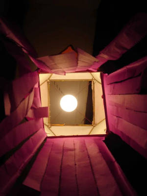 Dreamy Pink Blossoms Under Blue Sky Wallpaper