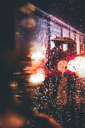 Drops, Rain, Silhouettes, Glare Wallpaper