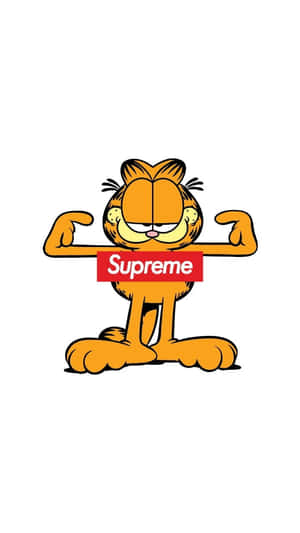 Dynamic Supreme Cartoon Style Wallpaper