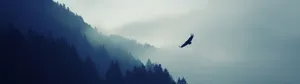 Eagle Over Mountainside Dual Monitor Wallpaper