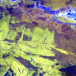 Earth Yellow Green Surface Wallpaper