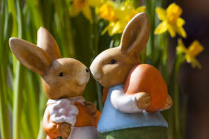 Easter A Sweet Surprise For Easter! Wallpaper