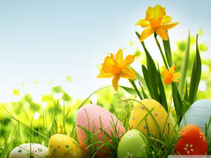 Easter Eggs On Flowery Field Wallpaper