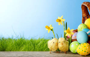 Easter Eggs, Yellow Chicks And Flowers Wallpaper