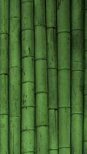 Eco-friendly Green Iphone Nestled In Bamboo Wall Wallpaper