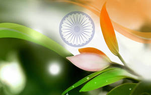 Eco Indian Flag Wallpaper