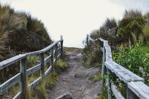 Ecuador Cotopaxi Trail Wallpaper