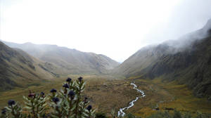 Ecuador Foggy Valley Of Sangay Wallpaper