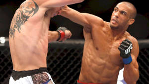 Edson Barboza Punching His Opponent Wallpaper