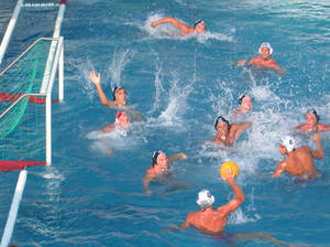 Edubilla Water Polo Practice Wallpaper