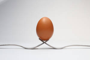 Egg Balanced On Forks Wallpaper