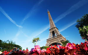 Eiffel Tower With Red Flowers Wallpaper
