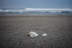 El Salvador La Paz Shoreline Wallpaper