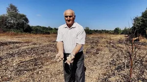 Elderly Farmer Standingin Field Wallpaper