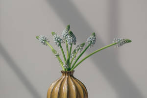 Elegant Ceramic Vase With Grape Hyacinths Wallpaper