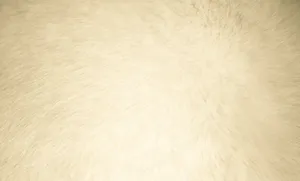 Elegant Cream Color Gradient Background Wallpaper